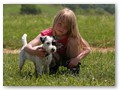 little dog