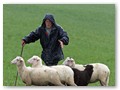 Der nächste Regen kommt!
