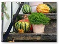 Herbst